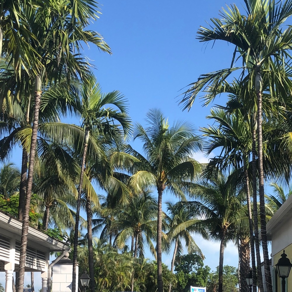 Meet your Posher, Parys